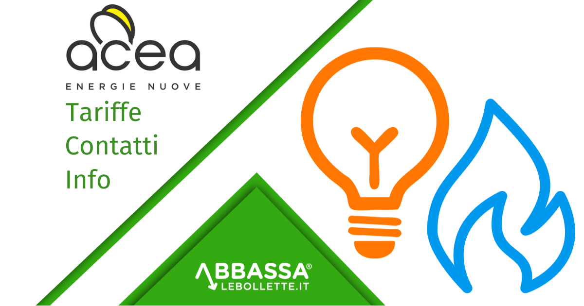 ACEA PINEROLESE ENERGIA S.R.L.